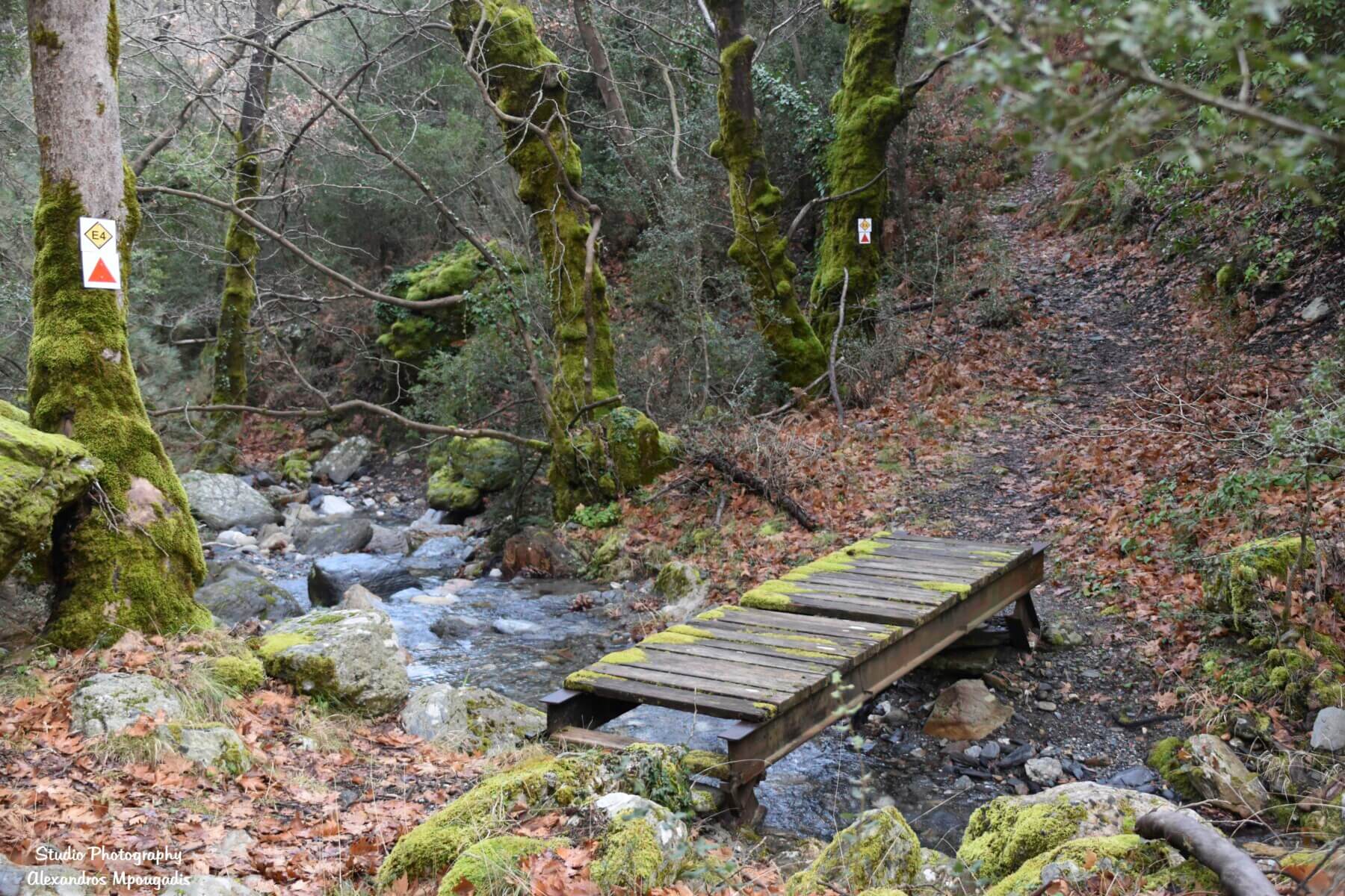 Στα μονοπάτια του Ταϋγέτου: Αναβρυτή – Λακκώματα – Λεβίδη